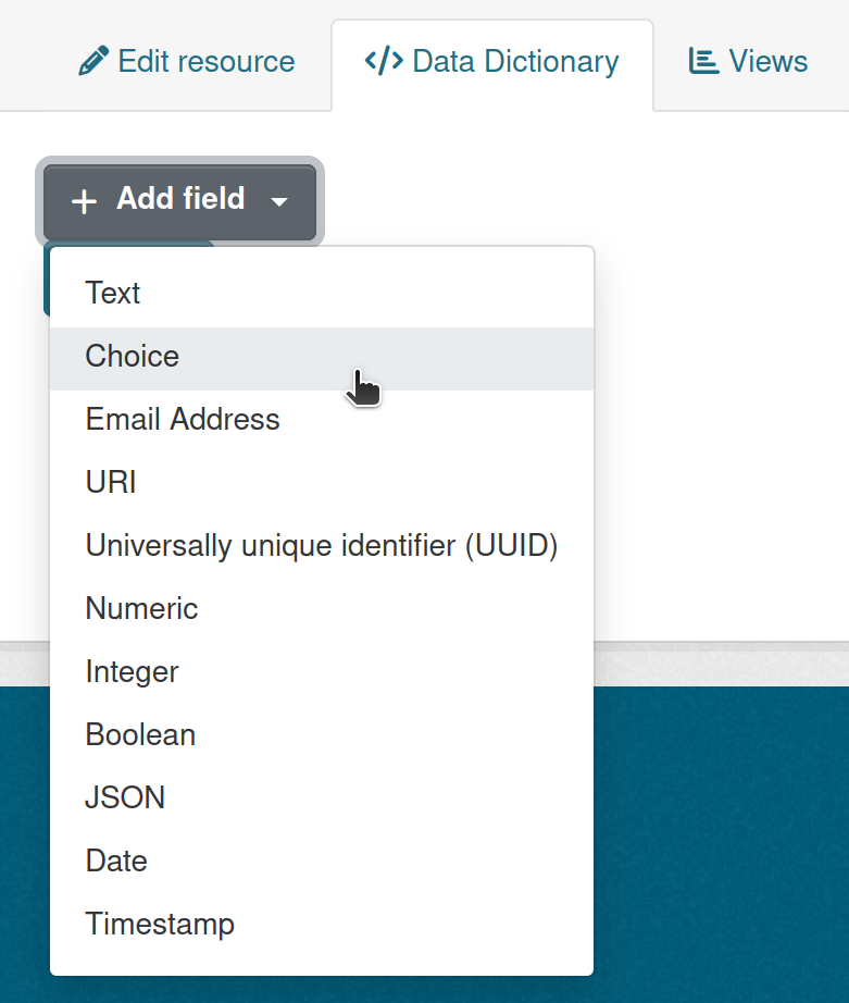 Data Dictionary | Add Field | Choice